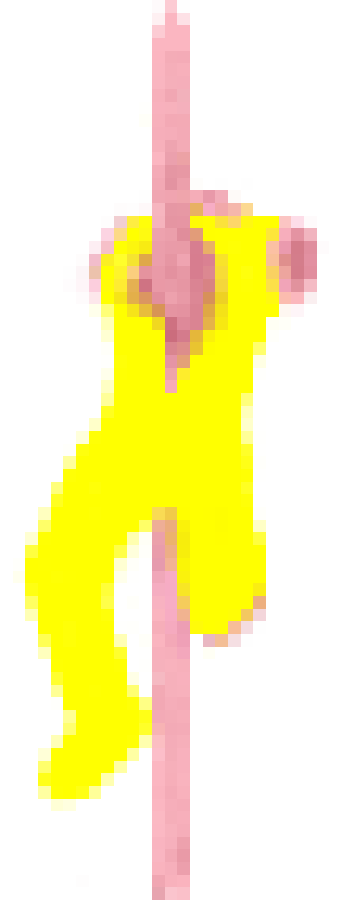 Flesh enterprises